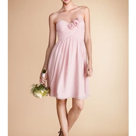 wedding dress: champagne bridesmaids dresses